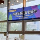 생태교육 | 청소년청년센터 생태전환교육 프로그램 후기_이끼테라리움 만들기 체험