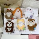 드림하우스 | 온앤오프(ONF) 온꼬미즈(ONKKOMIZ) 드림하우스 팝업스토어 후기