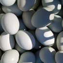 청계농장 이미지