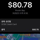 코틴하우스 이미지