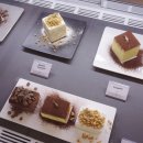 셀렉트디 이미지