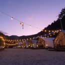 자연에 머물다 이미지