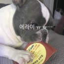 (주)코리아세븐 용인둔전중앙점 | 941회 로또 1등 16명 보너스번호35번 당첨지역공개 ‼️