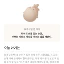 빨강늑대 | 뉴질랜드에서 제왕절개 출산 후기