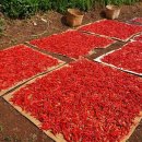 우리고추방앗간 이미지