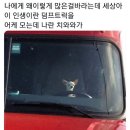 엘리롤스 이미지