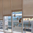 캣플 동탄점 이미지