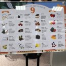 지에스25 구월아시아드점 | [인천 핫플] 트레이더스홀세일클럽 구월점 다녀온 후기〰️9/5 오픈