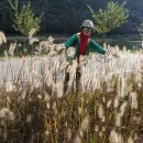 진천군 농다리 | 충북 진천군 초평호(농다리-미르309 출렁다리) 웰빙트레킹