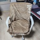 아이블씨 | 내돈내산 시디즈 T50 캐주얼 개봉 및 사용 후기 의자추천 TNF503F