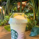 봄봄스토리 | 스타벅스 스프링2 프로모션 토이스토리 콜라보 MD 굿즈와 제시 슈트로베리 프라프치노 후기 ( 칼로리...