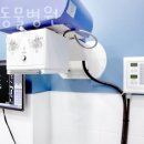 바른동물병원 | 중구 황학동 동물병원 바른동물병원 진료시간 접근성 이용후기