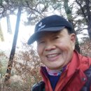 능선길 118 Daum카페