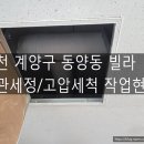 유정필로티