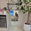 홀드의원 이미지