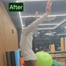 소마피트-인