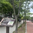 상무지구보행자도로 이미지