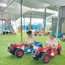 꿈꾸는 책가방(7세) | 경기 애들데리고갈만한곳 아이랑 실내 농장체험 꿈꾸는키즈팜