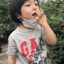싱싱해피팜