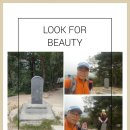 갑천우안도로 이미지