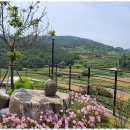 죽림포유부동산공인중개사사무소 | 여수부동산 여수 부동산의 모든 것, 죽림포유에서 경험했어요