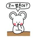 마가레뜨 이미지