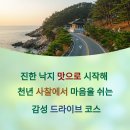 독천낙지 이미지
