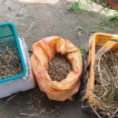 김미옥 농장 이미지