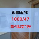 영신이용원 이미지