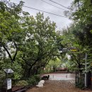 숲속광장 화장실(배봉산) 이미지