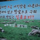 신월목장 이미지