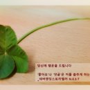 7번출구 엉터리집 이미지