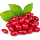 버팀목한의원 이미지