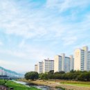 옥곡동 강변도로 이미지