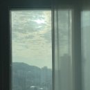 연휴 끝 주간 일상