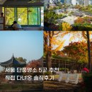2024 서울 가볼만한 단풍 명소 5곳 총정리 &amp; 다녀온 솔직후기
