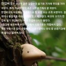 청계산수변공원관리사무소 | [울산] 무룡산(舞龍山,451m) 산행후기---2025년 7월 10일(목)