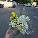 [결혼준비] 가성비 헤어변형 내돈내산 (강추)후기 - 예봄헤어