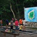 나리 신령수 이미지