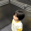 산본 키즈미용실 추천. H:Salon 33개월 첫 파마 성공적