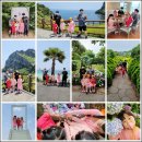 석준목장 | 5편 제주투어패스 ( 스카이 워터쇼, 목장카페드림쿰다 , 서귀피안베이커리 , 성산일출봉 ) )