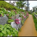 황령산 바람고개 이미지