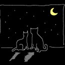 달과고양이 이미지