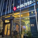 뚱보마라탕 | 창원 용호동 마라탕 맛집 "수마라탕&amp;마라샹궈" 내돈내산