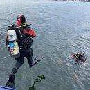 울진파출소 이미지