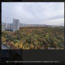 삼익삼환(방화4단지)(아) | 24/03/02, 블루투어 임장스터디 (고덕 1편, 고덕그라시움, 고덕아르테온, 고덕래미안힐스테이트)