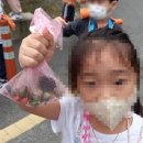 고산 산림교육센터 이미지