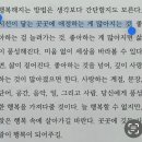 내일은 또 모르지만 부족한 나라서 오히려 더 좋다고 해줘