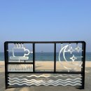 씨유강릉경포해변점 | 강릉 맛집 경포해변 대게 대방어 추천 스끼다시 대박 ‘피쉬맨대게횟집’