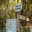 탑코스
